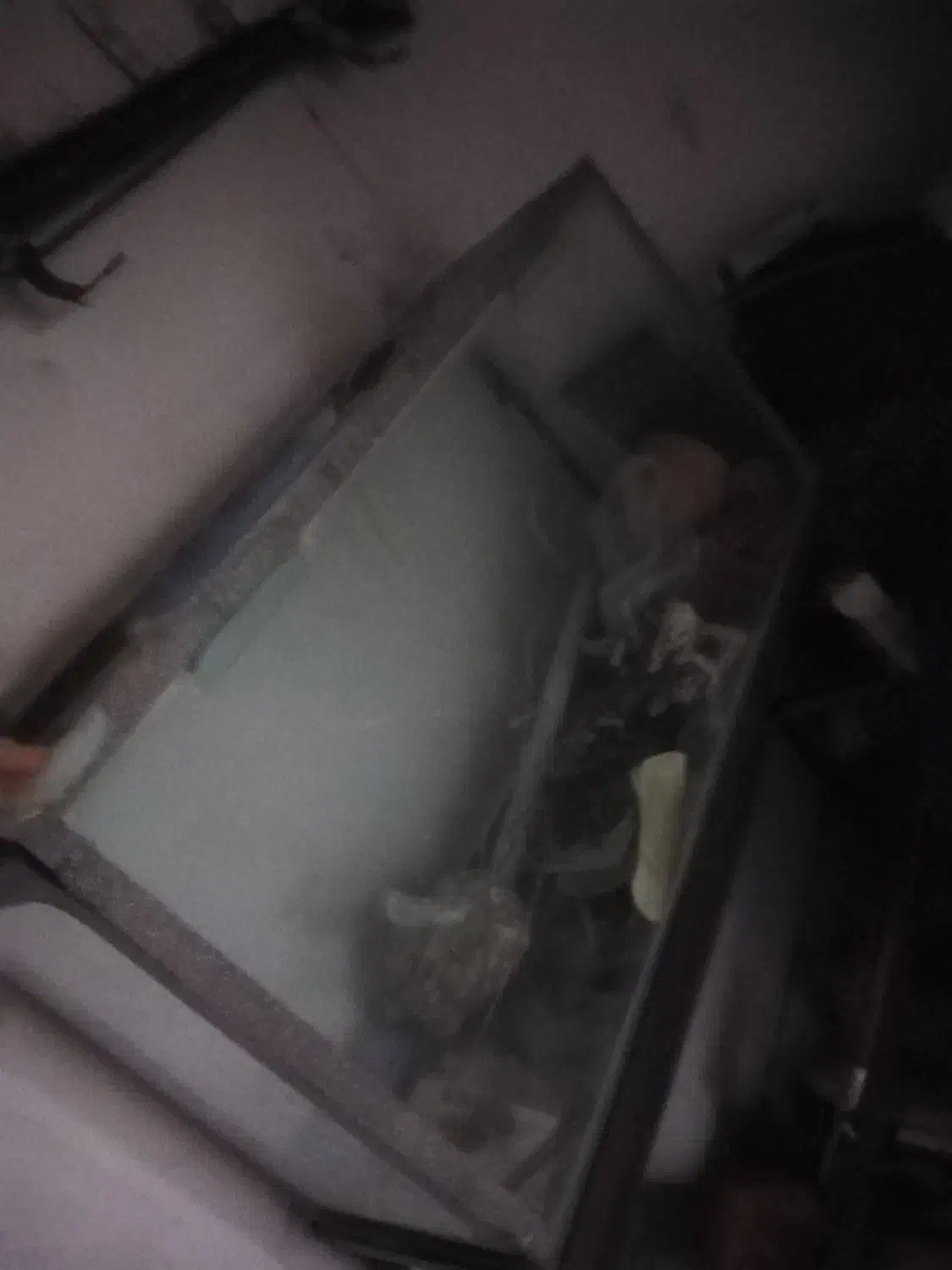 اکواریوم با پایه|ماهی|مشهد, مشکینی (شهرک غرب)|دیوار