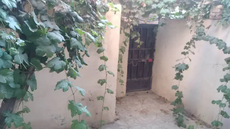 منزل اجاره ای|اجارهٔ خانه و ویلا|ابریشم, |دیوار