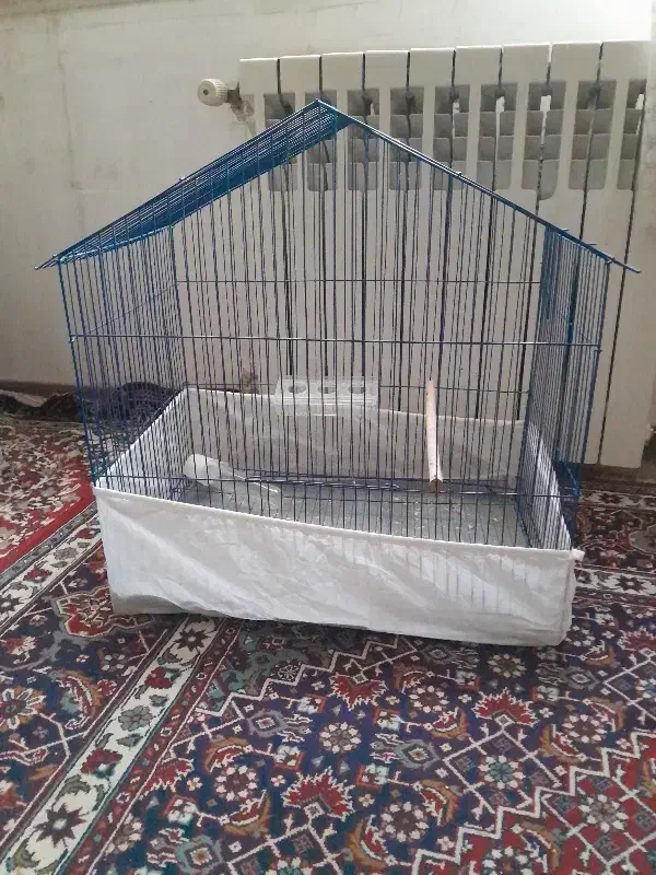 قفس پرنده|لوازم جانبی حیوانات|کاشان, شهرک خاتم الانبیا (مسکن ملی کاشان)|دیوار