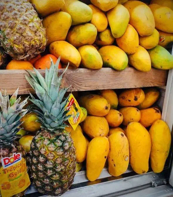 انواع آبمیوه طبیعی آب زرشک انار آلبالو بطری و گالن|عمده‌فروشی|تهران, لاله زار|دیوار