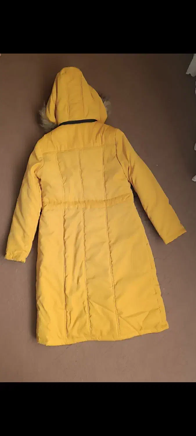 پالتو|لباس|فامنین, |دیوار