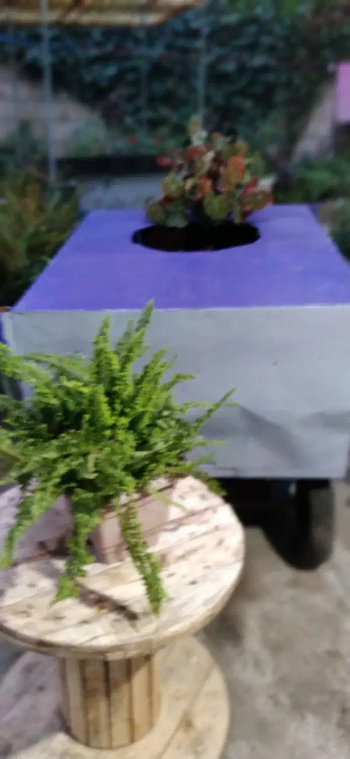 ۲عدد گاری قیمت توافقی|فروشگاه و مغازه|رشت, بلوار گیلان|دیوار