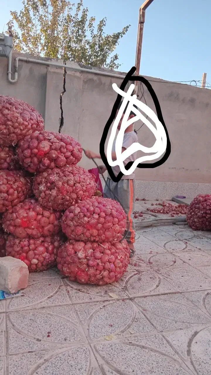 پیاز محلی|خوردنی و آشامیدنی|بردسیر, |دیوار