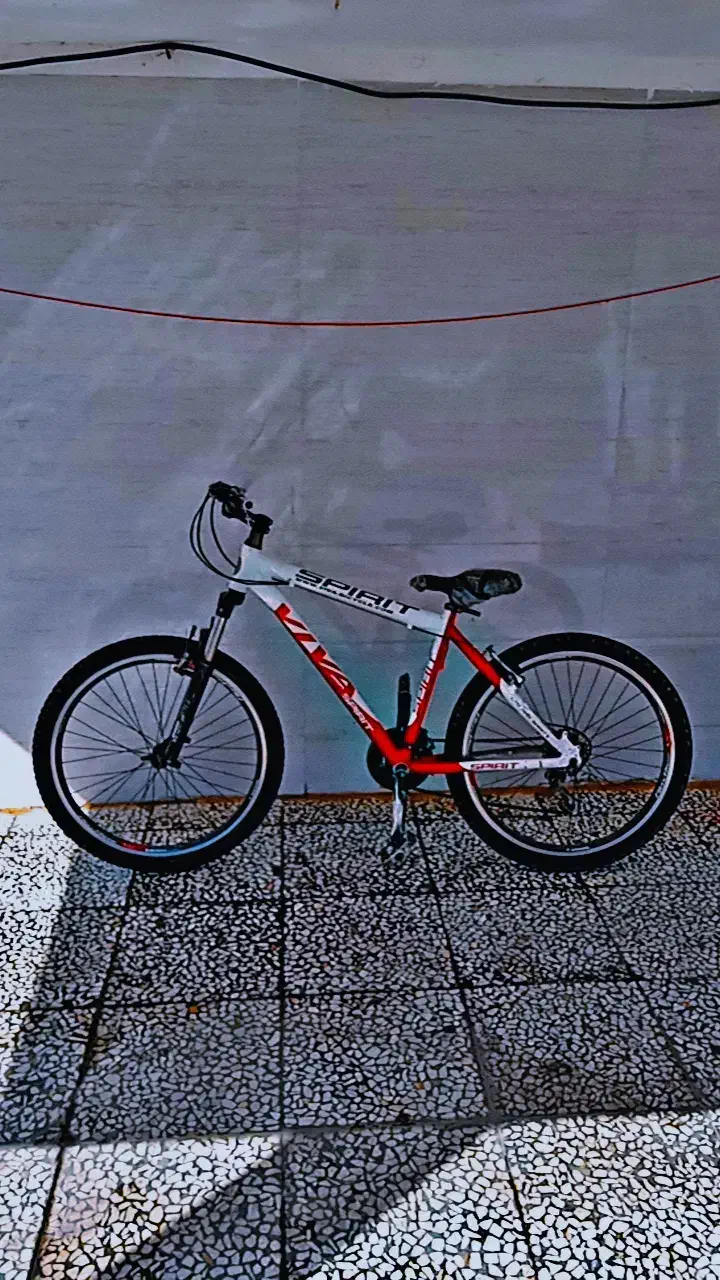 دوچرخه ویوا|دوچرخه، اسکیت، اسکوتر|پلدختر, |دیوار