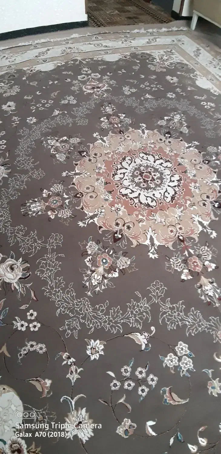 فرش ۱۲ متری دره شهر|فرش|دره شهر, |دیوار