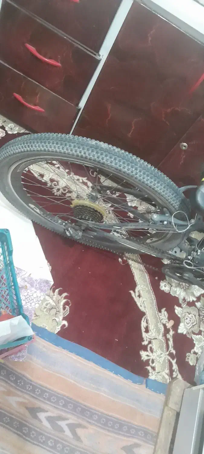 دوچرخه|دوچرخه، اسکیت، اسکوتر|سیرجان, |دیوار