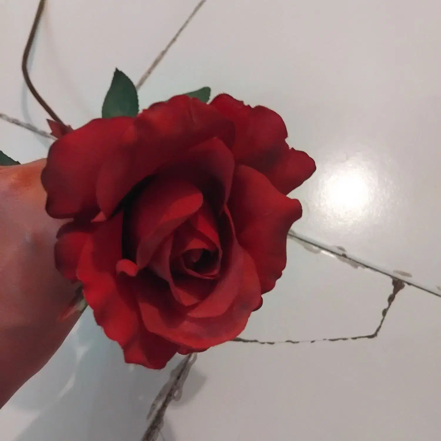 یک عدد شاخه گل رز|گل مصنوعی|تبریز, |دیوار