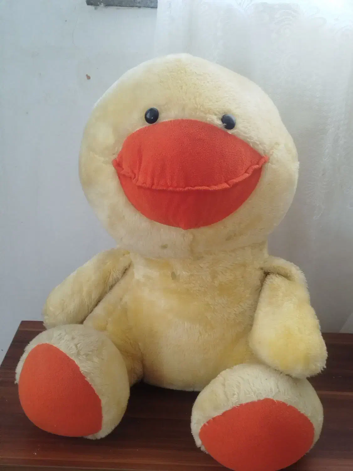 عروسک|اسباب‌بازی بچه|سقز, |دیوار