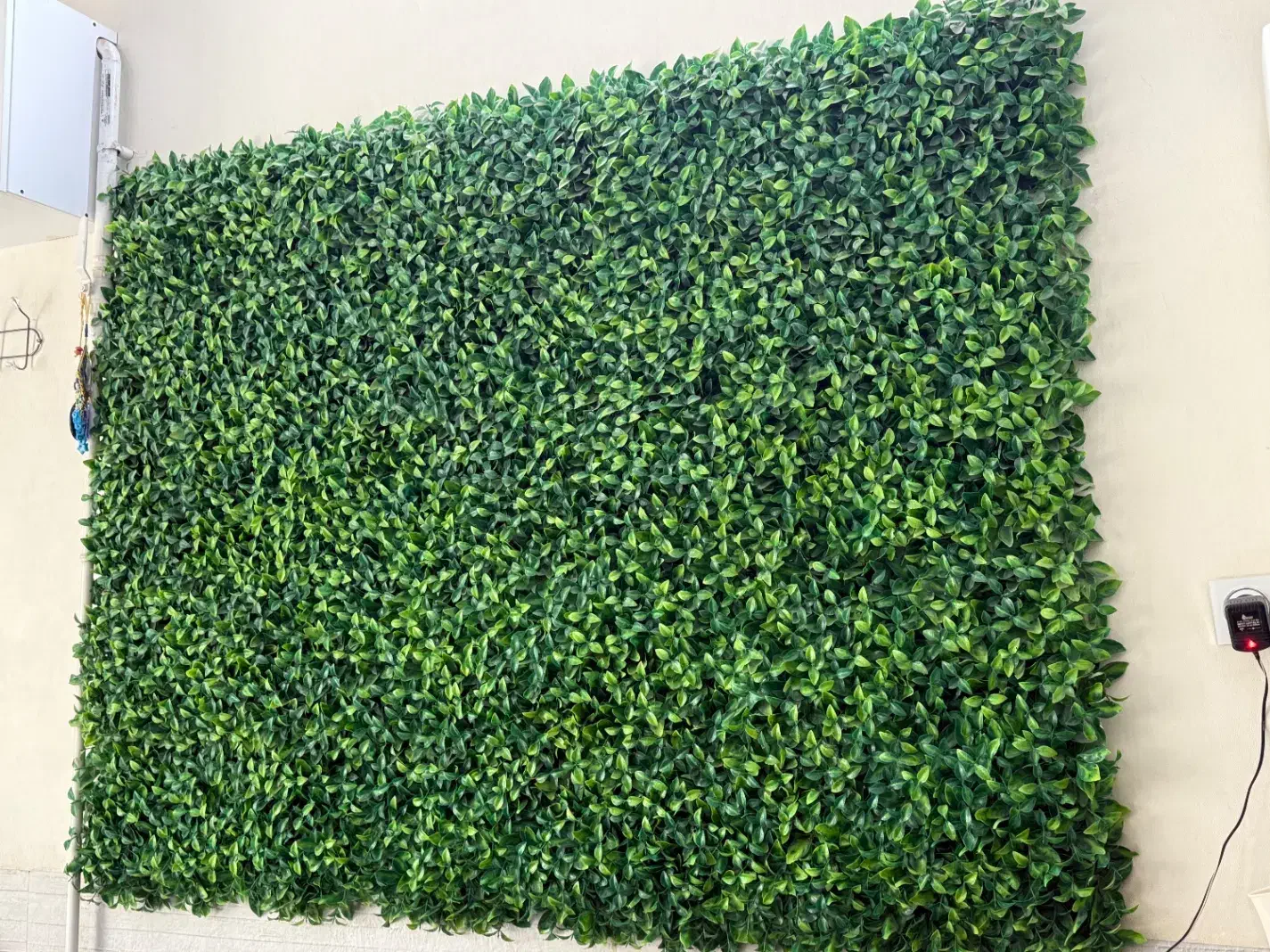 چمن مصنوعی دیواری|گل مصنوعی|همدان, |دیوار