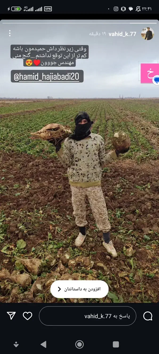 فروش چغندر قند جوین .به تمام استانها|عمده‌فروشی|شیروان (خراسان), |دیوار