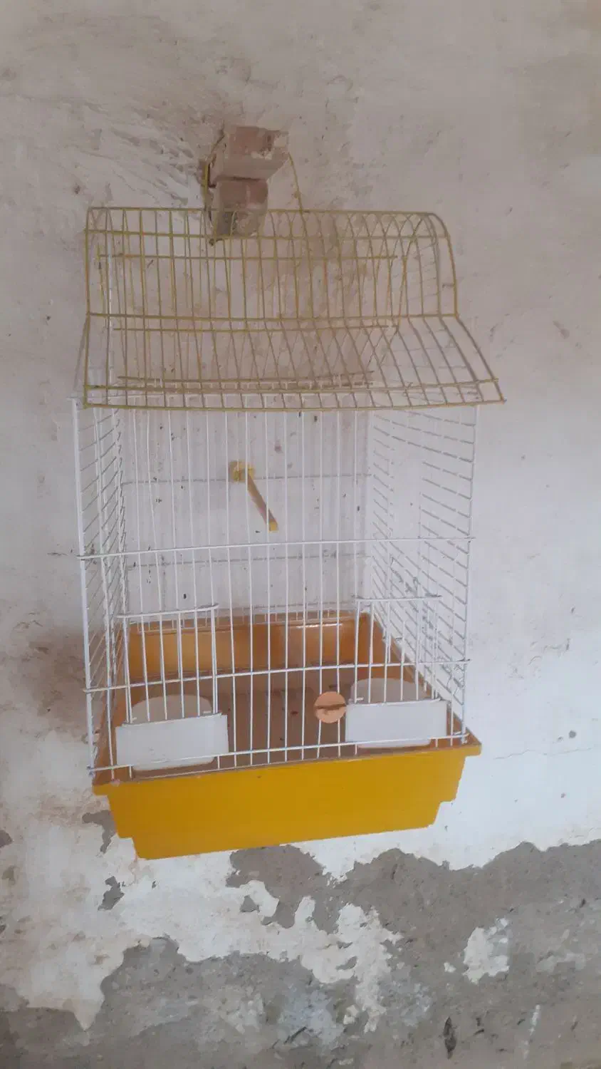 مجسمه|مجسمه، تندیس، ماکت|زابل, |دیوار