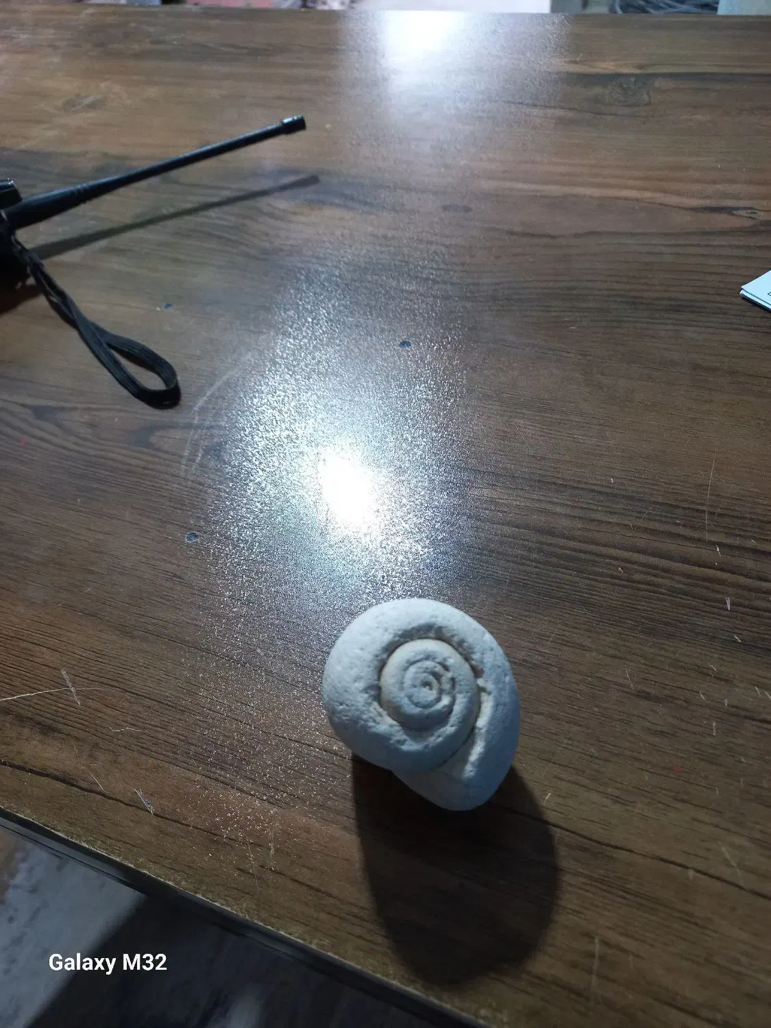 فسیل دو عدد|کلکسیون اشیاء عتیقه|کارون, |دیوار