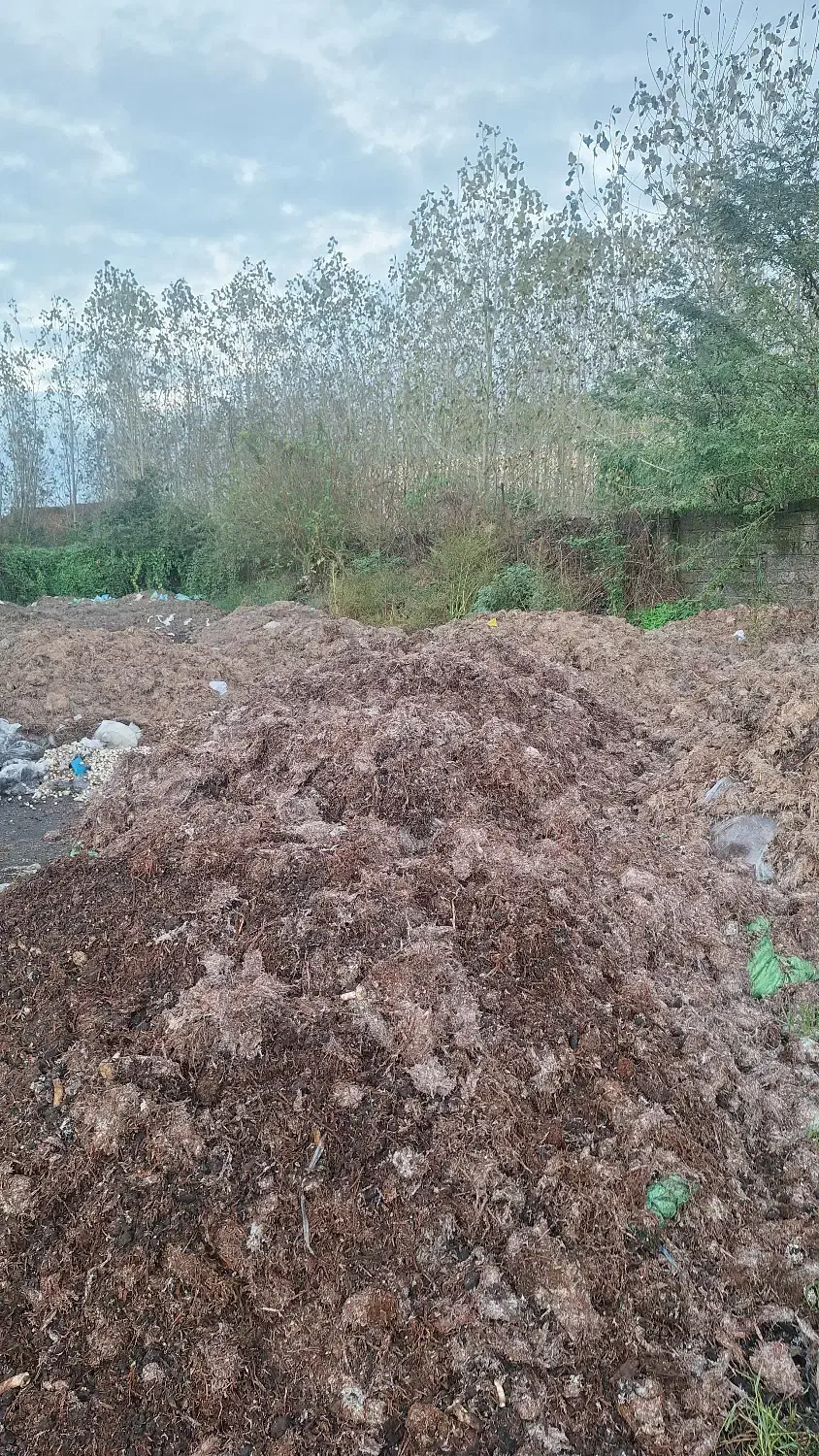 کود چرب کمپوست|خدمات باغبانی و درختکاری|بندر انزلی, چهارفریضه|دیوار