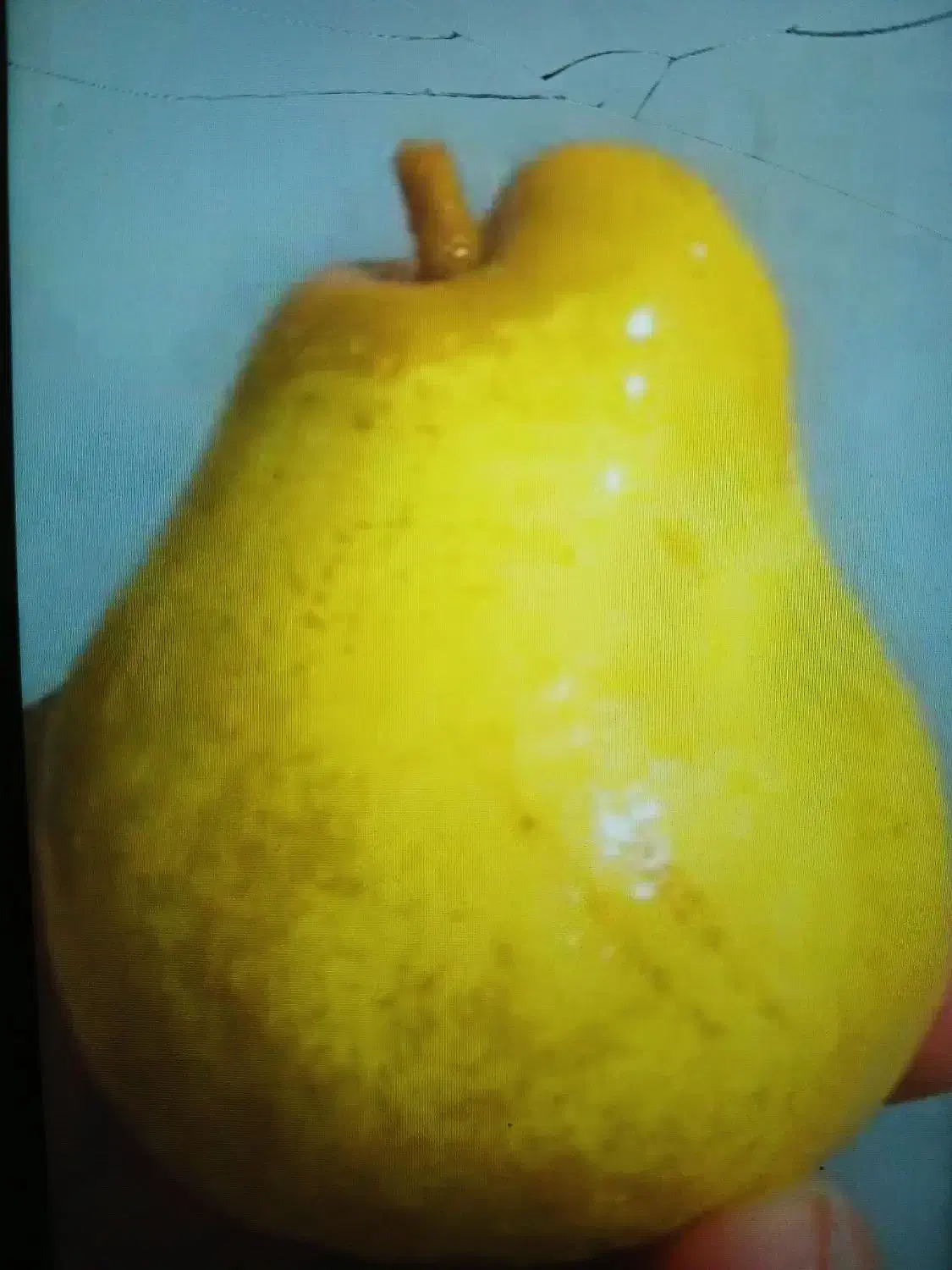 خوج جنگلی خوشمزه درجه یک آلوچه آلبالو ازگیل و..|خوردنی و آشامیدنی|رشت, رودباری|دیوار