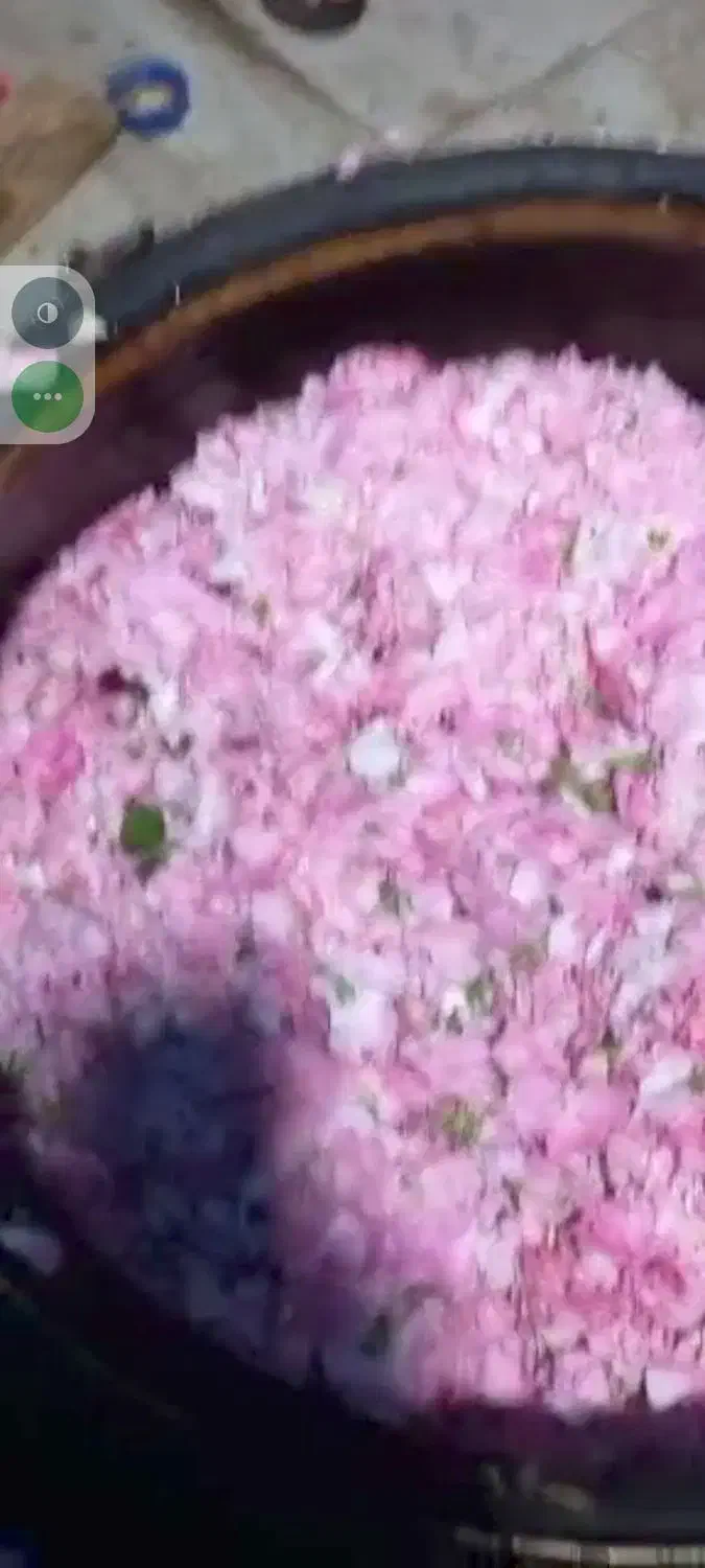 گلاب وعرقیات سنتی کاشان|عمدهفروشی|کاشان, شهرک صنعتی راوند|دیوار