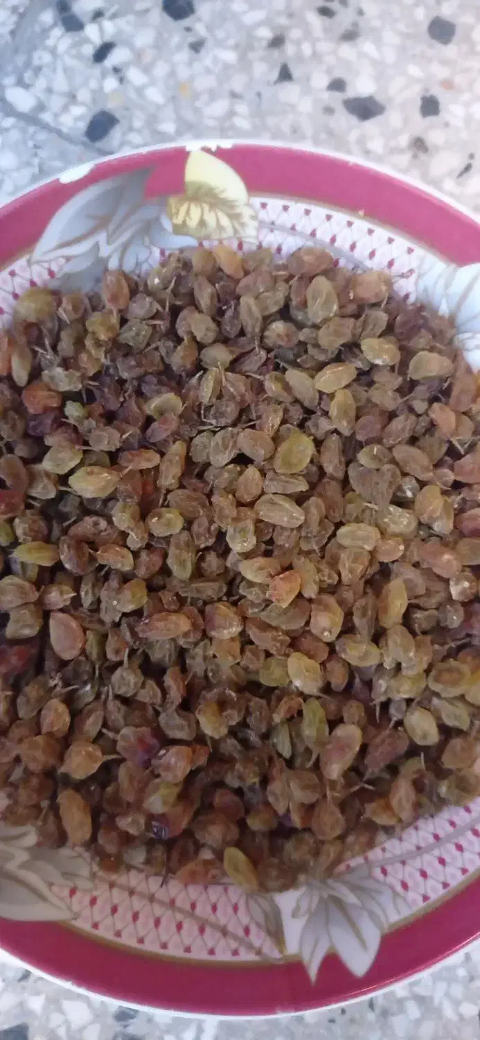 کشمش|خوردنی و آشامیدنی|پاتاوه, |دیوار