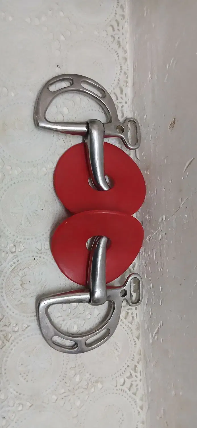 دهنه D|اسب و تجهیزات اسب‌سواری|شاهین‌شهر, گزبرخوار|دیوار