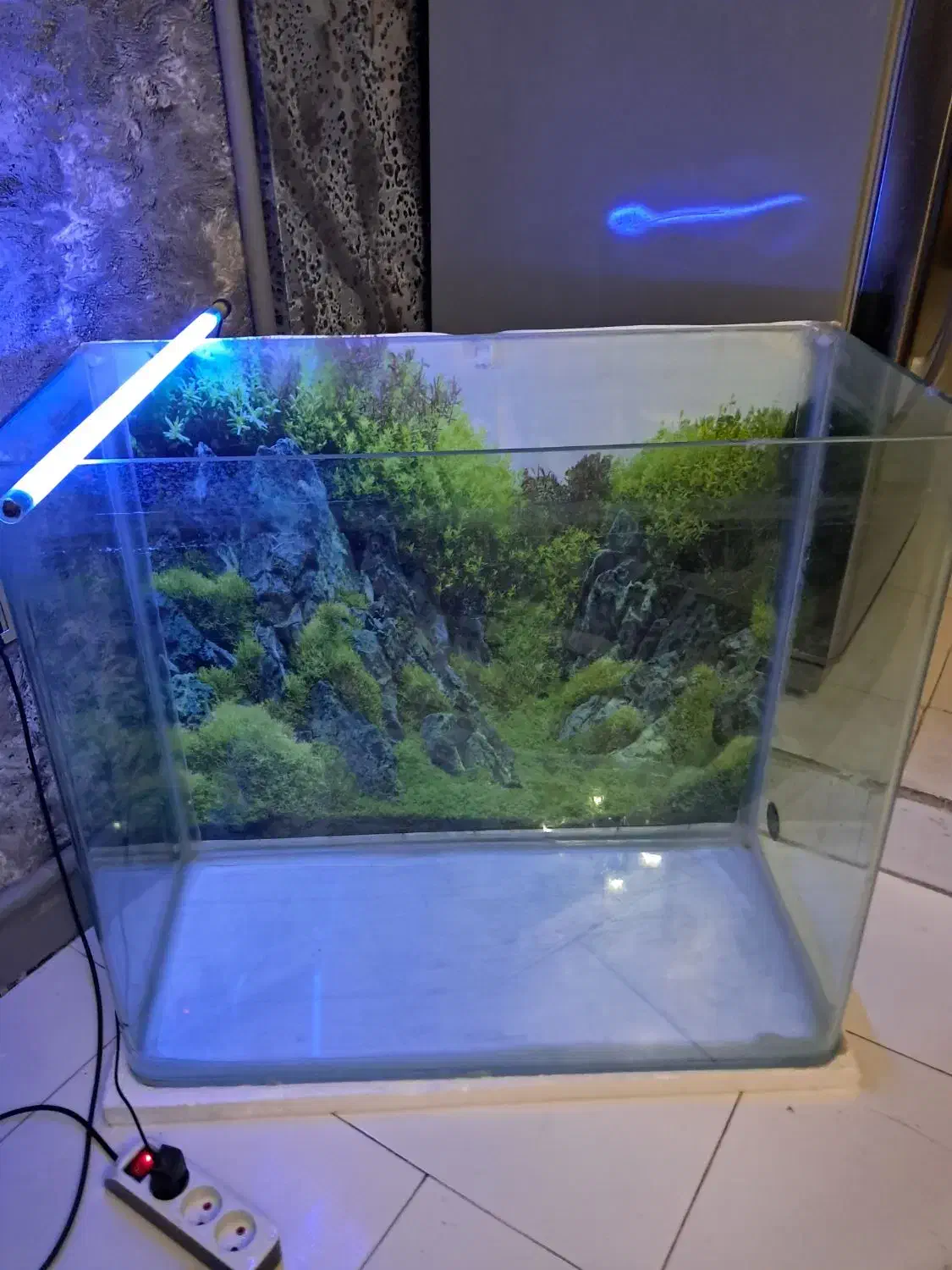 فروش اکواریوم|ماهی|فردیس, شهرک شهید حسینی|دیوار