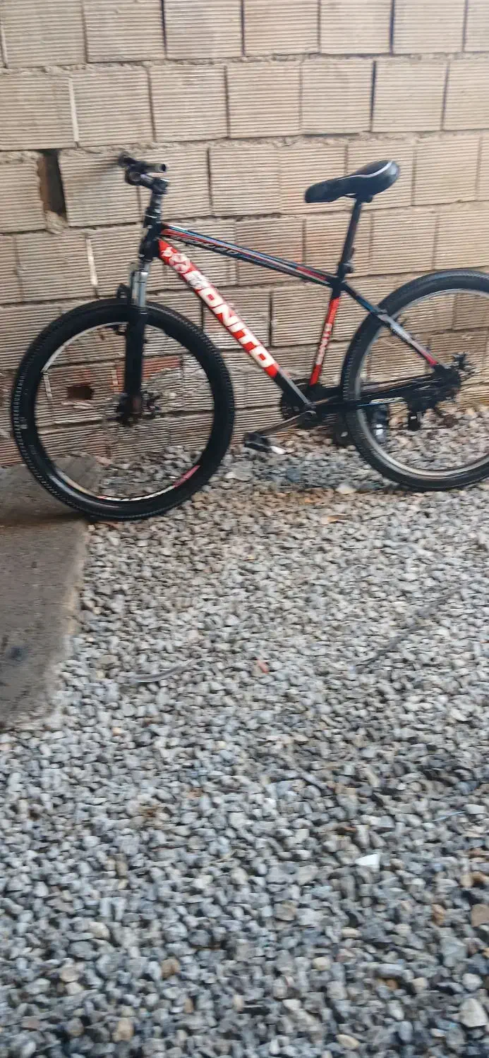 دوچرخه سالم|دوچرخه، اسکیت، اسکوتر|سرخنکلاته, |دیوار