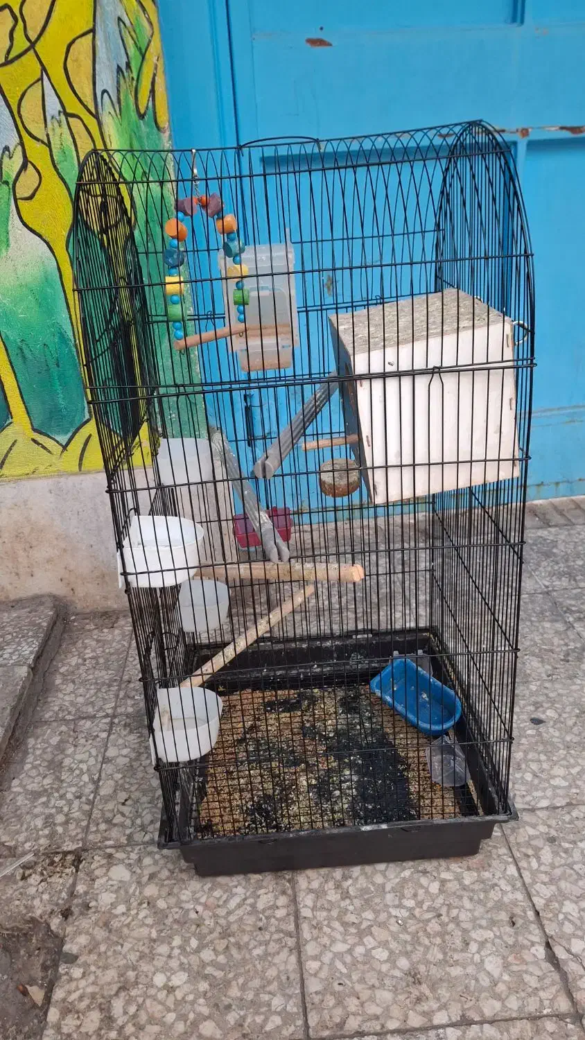 قفس طوطی|لوازم جانبی حیوانات|قم, هنرستان|دیوار