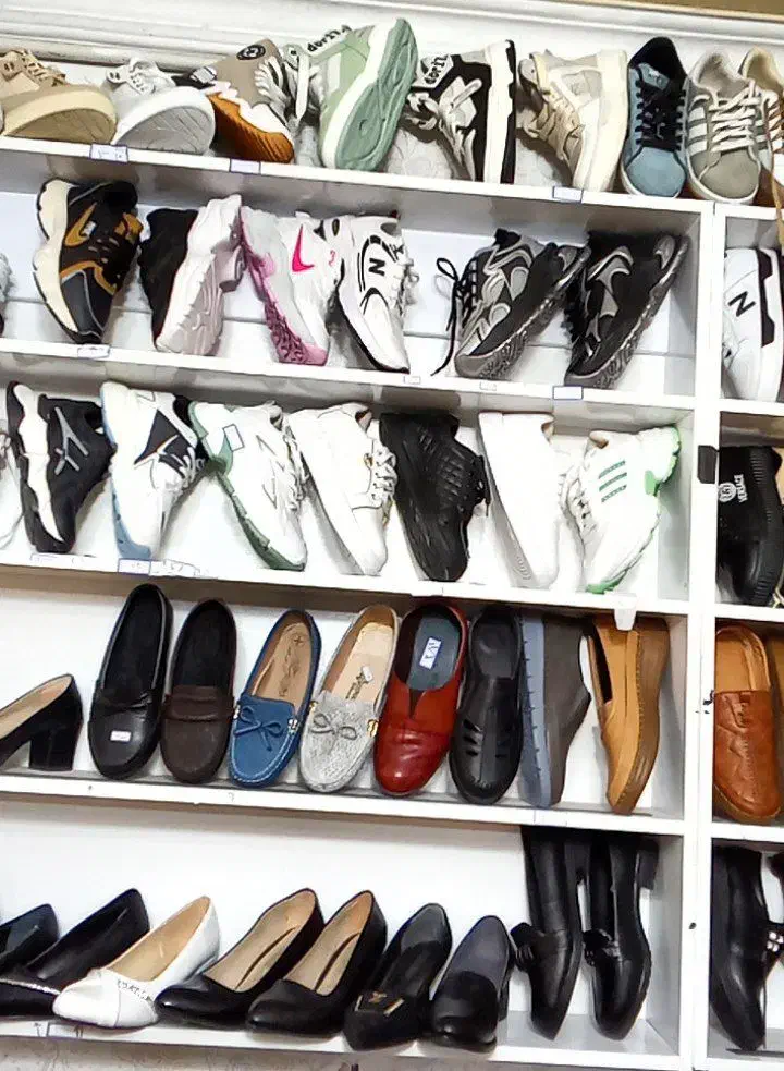 کفشهای لژدار مدائن|کیف، کفش، کمربند|سبزوار, امیر کبیر|دیوار