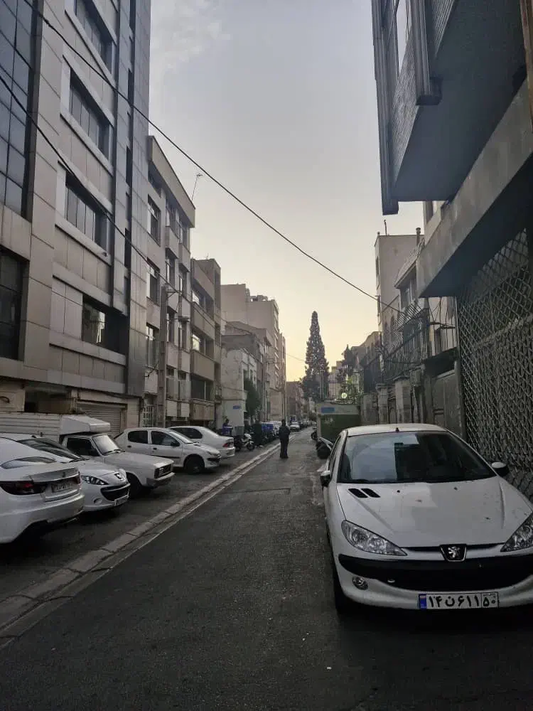 ۱۸۵ کلنگی خ انقلاب(۱۲فروردین)بر۹ پهنهm116|فروش زمین و ملک کلنگی|تهران, فلسطین (میدان انقلاب)|دیوار