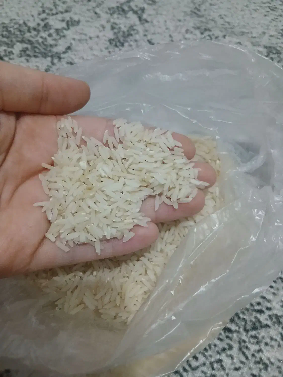 برنج هاشمی|خوردنی و آشامیدنی|رشت, پارک شهر|دیوار