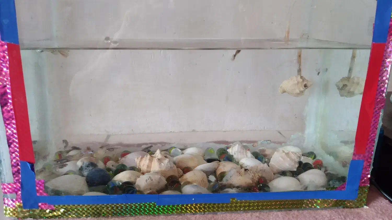 اواریوم با۴۳ ماهی ۲۷در ۱۸|ماهی|ماهان, |دیوار