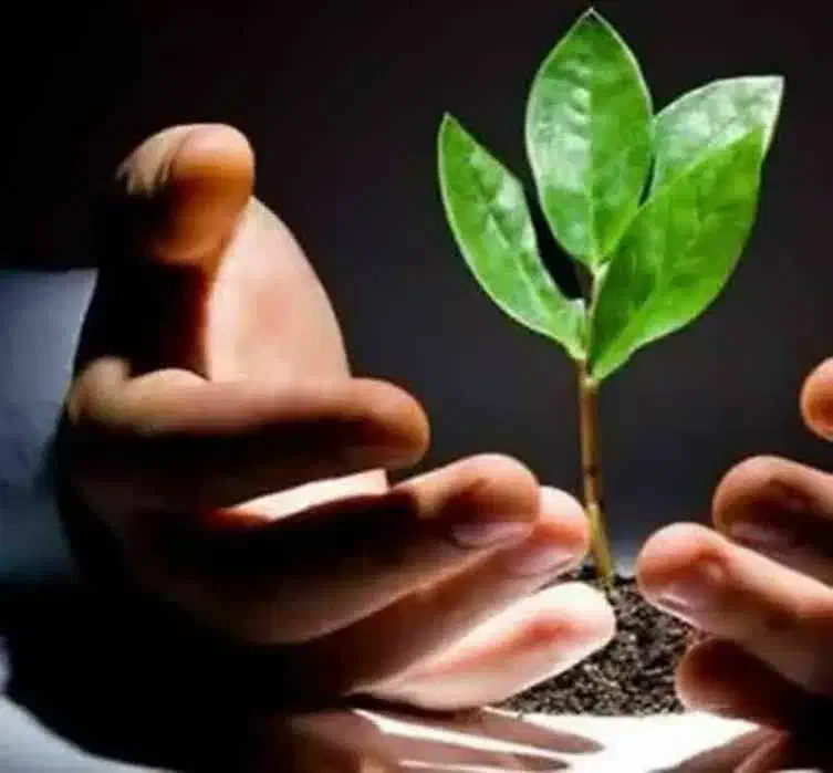 ت*رک ا*عتیاد و سیگ*ار ب*دون درد و خماری|آرایشی، بهداشتی، درمانی|ارومیه, |دیوار