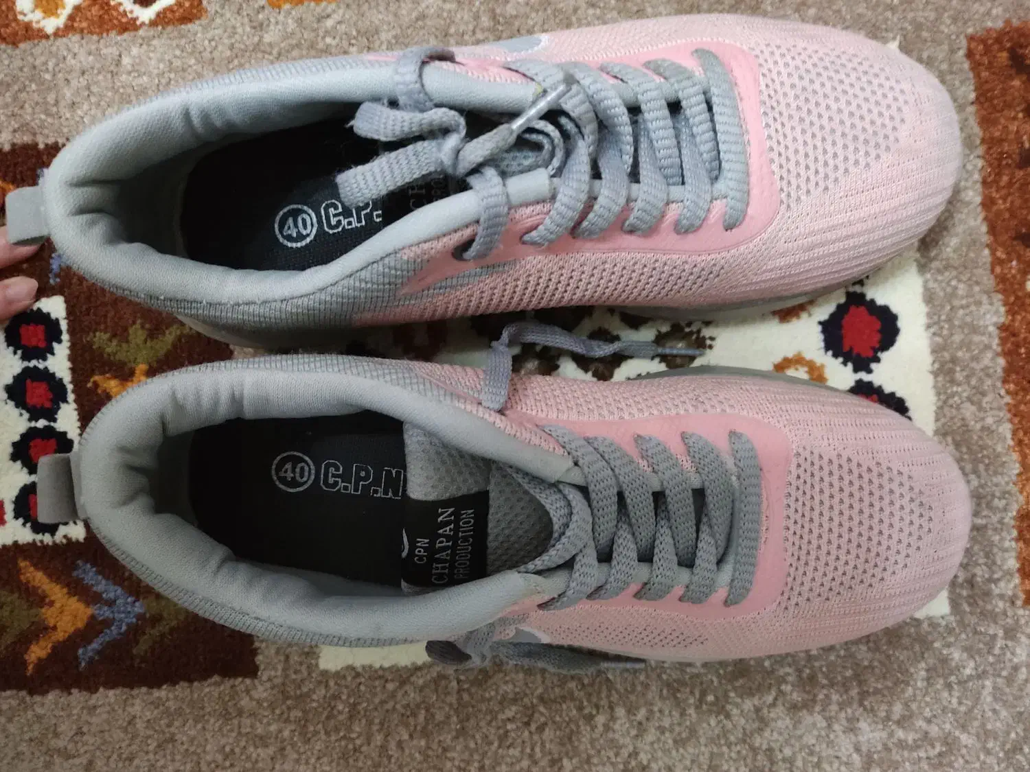 کفش|کیف، کفش، کمربند|شیراز, زرهی|دیوار