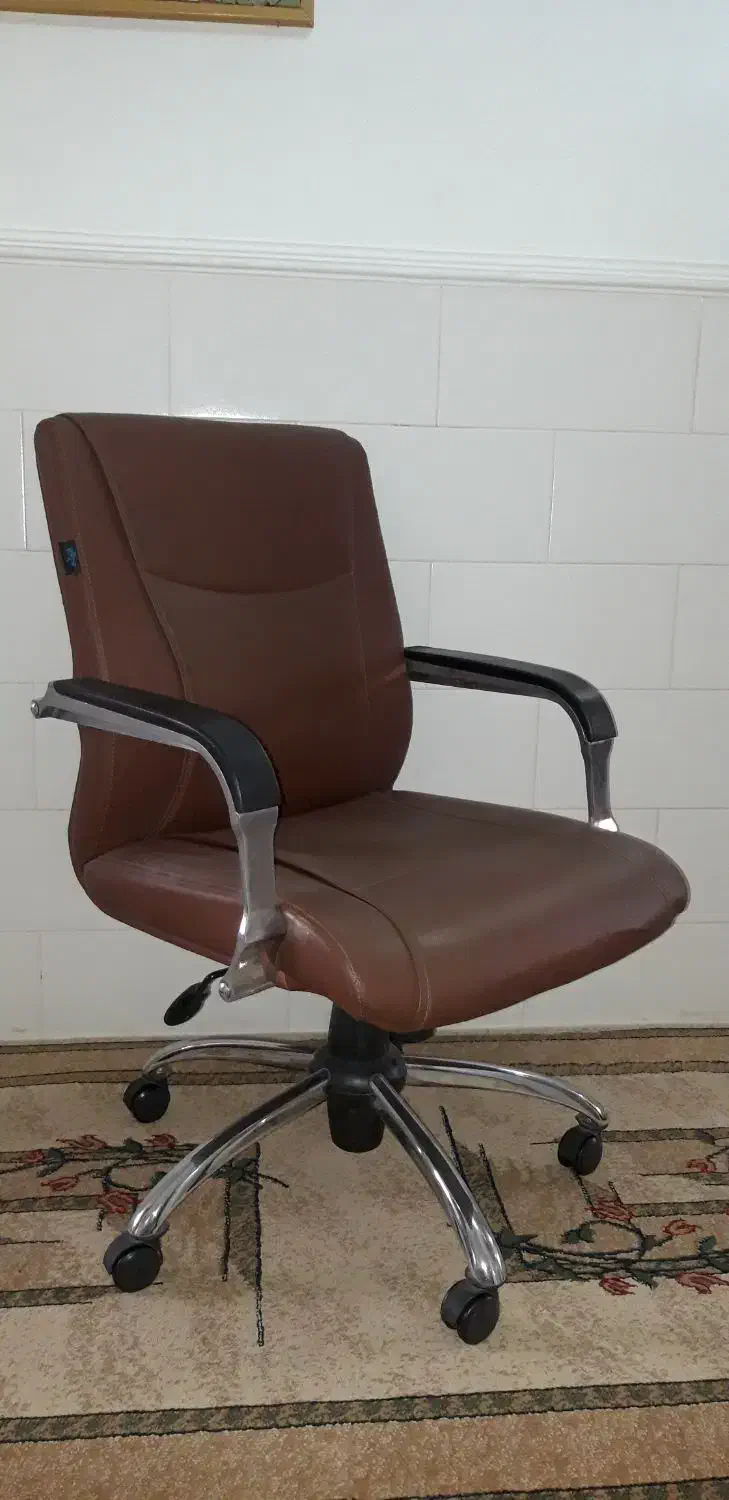 صندلی چرخدار|صندلی و نیمکت|مرودشت, ابوذر شمالی|دیوار