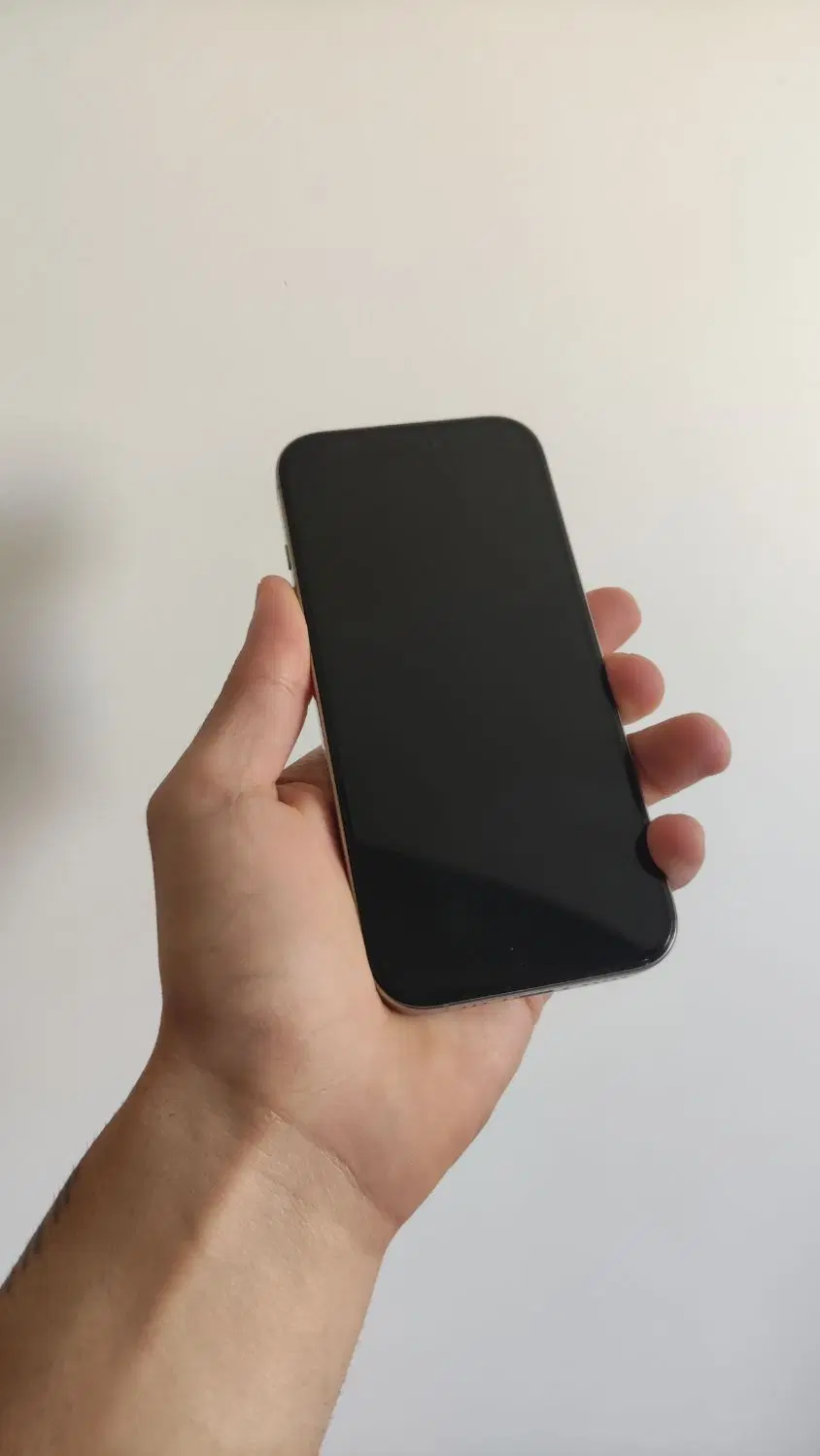 iPhone 16pro 256|موبایل|کرج, باغستان|دیوار
