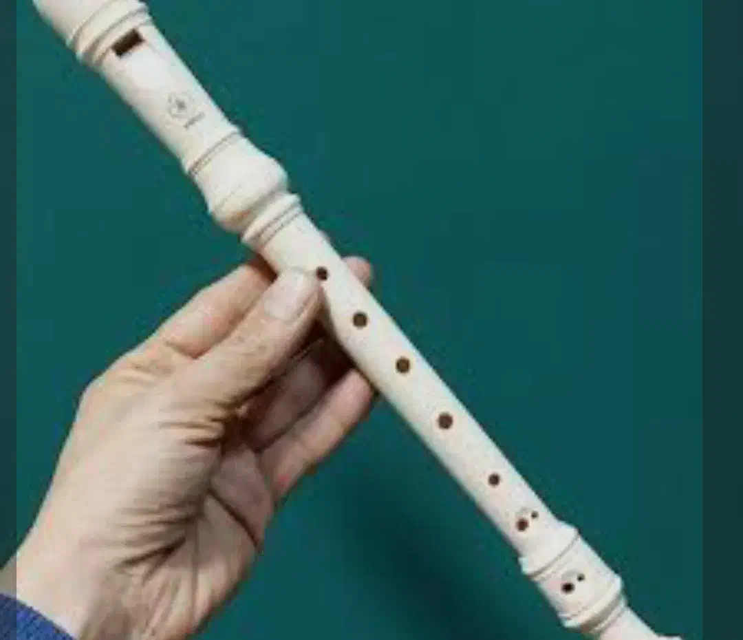 فلوت تمیزونو|سازهای بادی|اصفهان, خانه اصفهان|دیوار