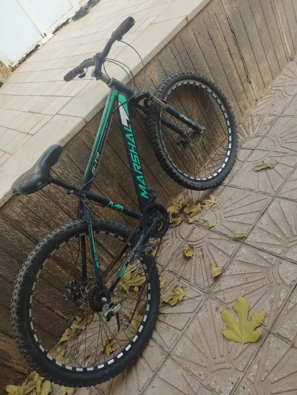 دوچرخه|دوچرخه، اسکیت، اسکوتر|اشکذر, |دیوار