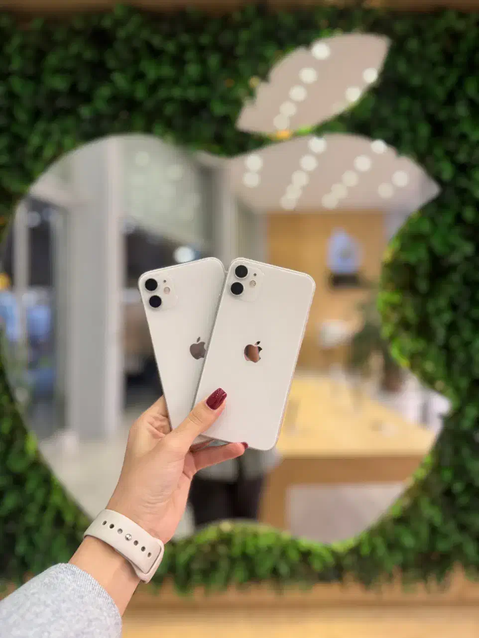 Iphone 11|موبایل|سمنان, |دیوار