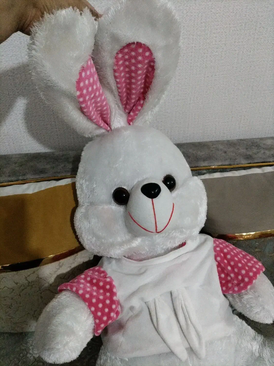 یک عددخرگوش بزرگ زیباتمیزدرحدنو|اسباب‌‌بازی|قدس, شهر‌قدس|دیوار