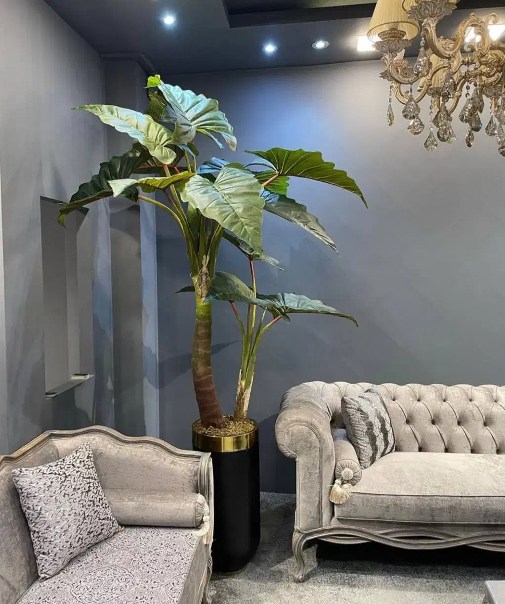 درختچه بزرگ کنار سالنی|گل مصنوعی|خرمآباد, |دیوار