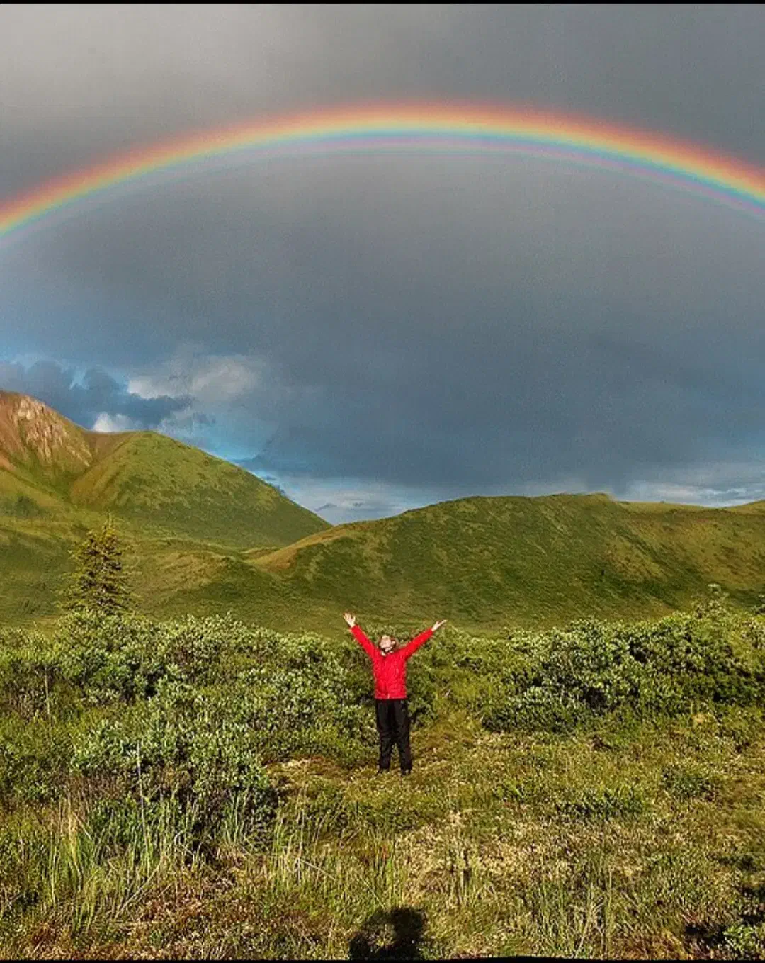 نقاشی.ساختمان درب پنجره|خدمات پیشه و مهارت|بجنورد, |دیوار