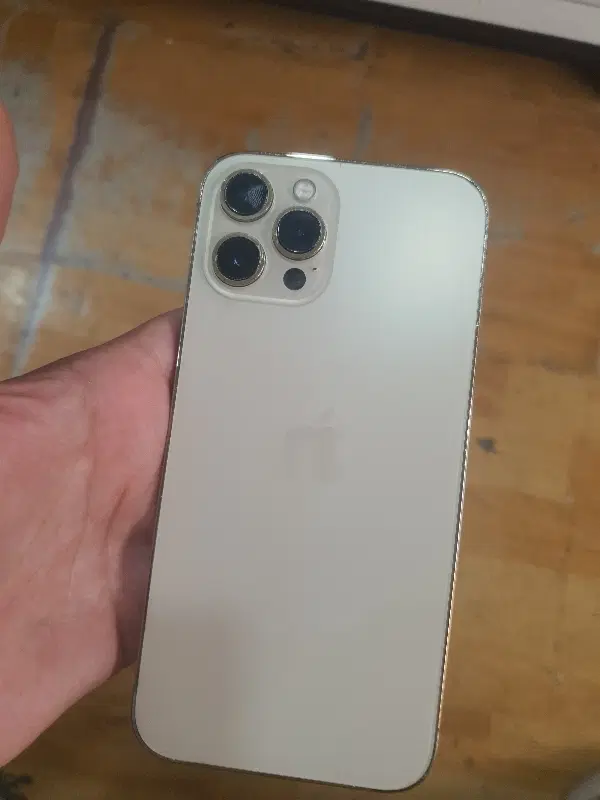 iPhone 12 pro max|موبایل|فردیس, سرحد آباد|دیوار