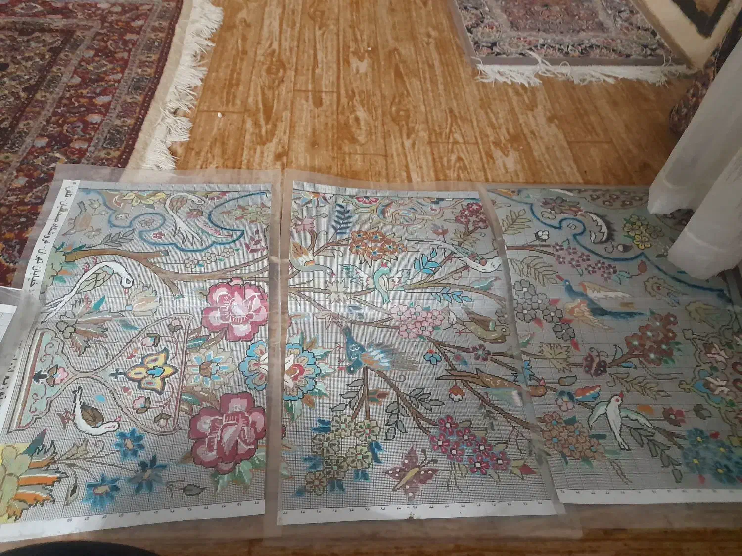 نقشه قالی|فرش|بیرجند, |دیوار