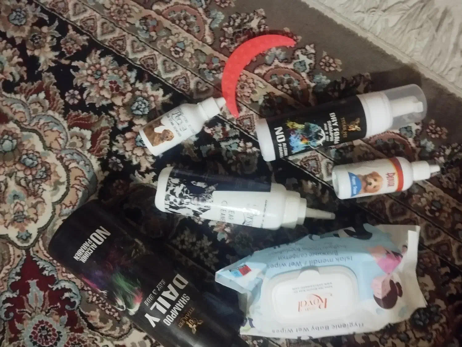 توله سگ|سگ|قدس, شهرک دانش|دیوار