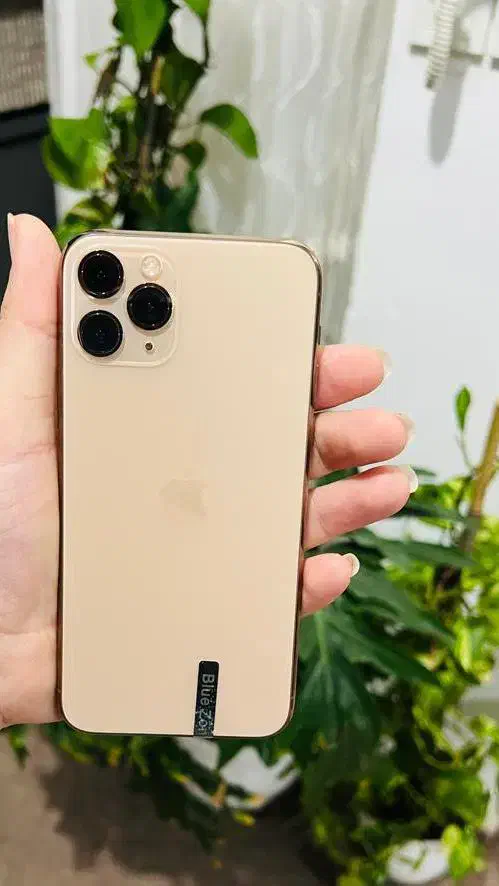 آیفون ۱۱ پرو ۲۵۶ گیگ رنگ گلد|موبایل|بندر گز, |دیوار