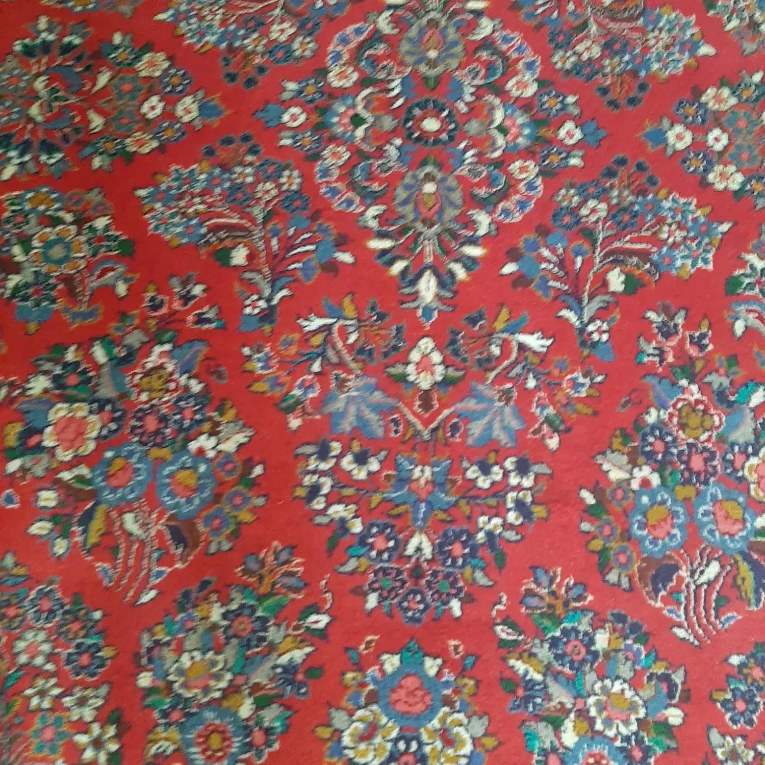 فرش دستبافت ساروق اراک|فرش|تهران, نیلوفر|دیوار