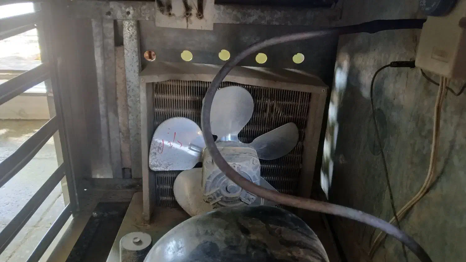 یخچال ویترینی ۲ متری|فروشگاه و مغازه|رومشکان, |دیوار