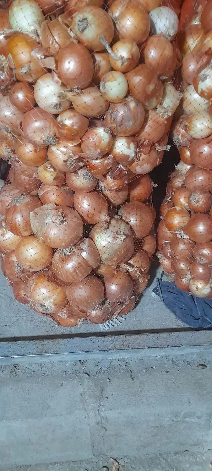 پیاز زرد طلایی|خوردنی و آشامیدنی|پارس‌آباد, |دیوار