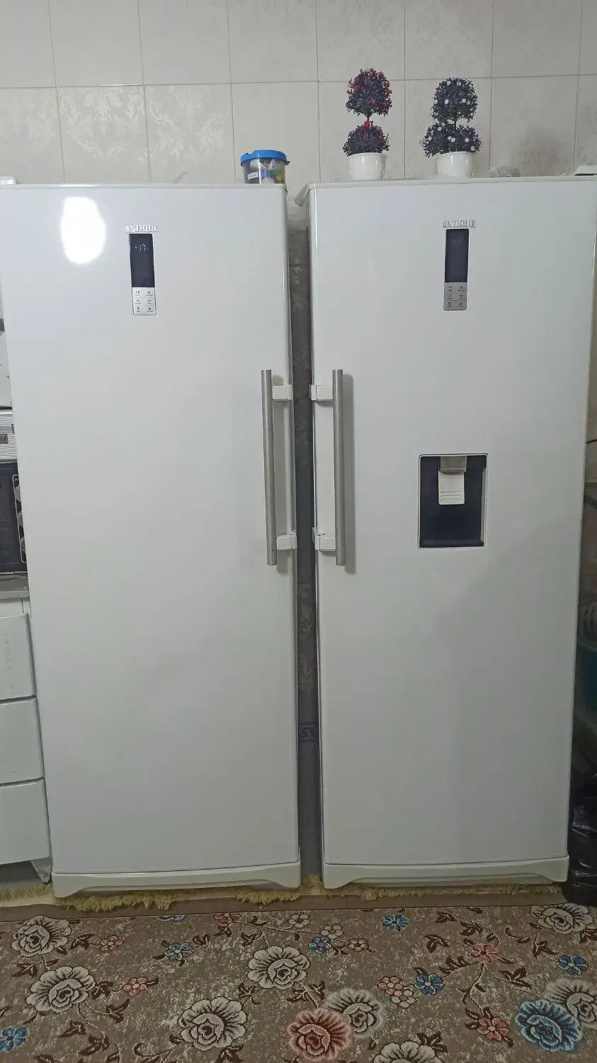 یخچال دوقلوی آنتیک دارای آب سردکن و یخساز، ضمانتی|یخچال و فریزر|ثلاث باباجانی, |دیوار
