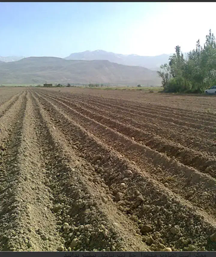 زمین اجاره|اجارهٔ دفتر صنعتی، کشاورزی، تجاری|الشتر, |دیوار