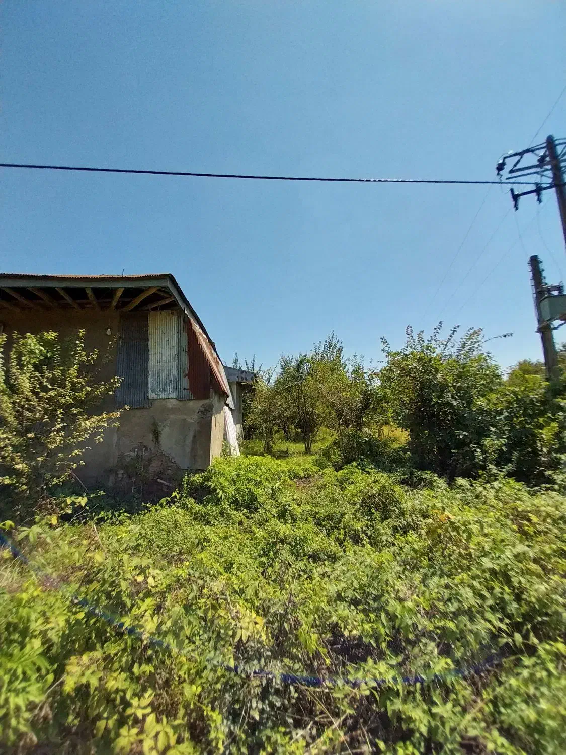 فروش ویلایی۱۰۰متری/محوطه۴۵۰۰متری/سند/برآسفالت|فروش خانه و ویلا|شفت, |دیوار