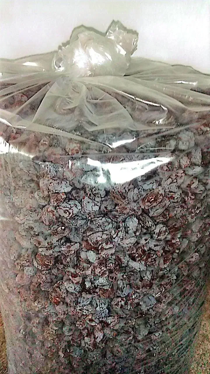 مویز درجه1 صادراتی را مستقیم از باغ دار بخر|خوردنی و آشامیدنی|شیراز, معالی‌آباد|دیوار