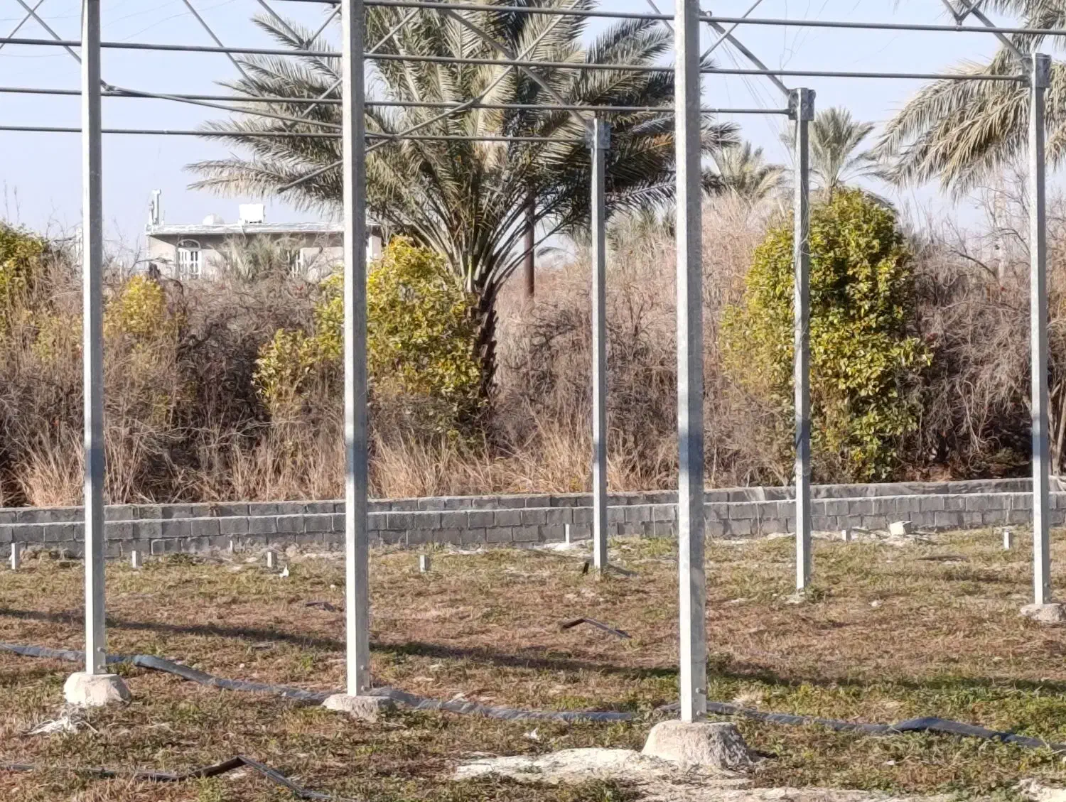 سازه گلخانه|مصالح و تجهیزات ساختمان|کازرون, |دیوار